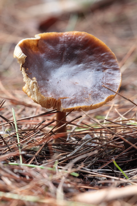 Ritrovamenti di oggi